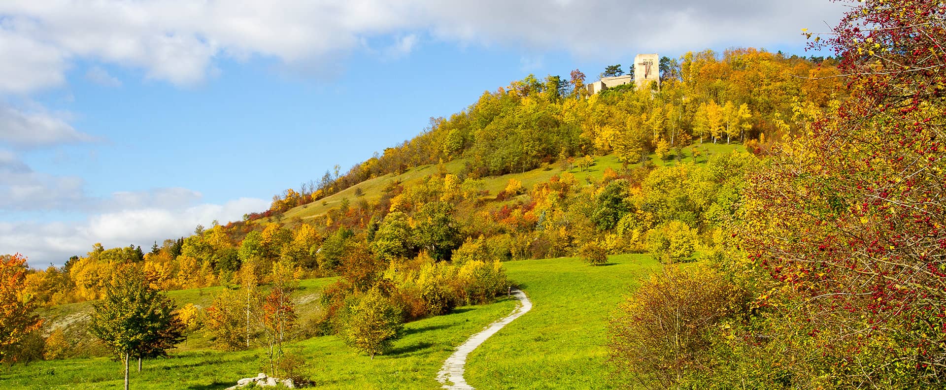 Einfach Jena – Ein Projekt der SBW Lebenshilfe Jena Blick auf den Weg zur sonnenbestrahlten Burgruine „Lobdeburg Jena”